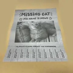 Item thumbnail for item 211c574d-718d-4eb0-ab76-dc9a98d2d329