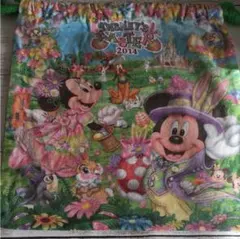 【中古】巾着／DISNEY'S EASTER 2014