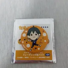 山口忠　ハイキュー!! 缶バッジ たすっこ
