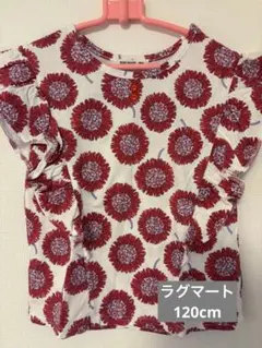 Item thumbnail for item dc1a6643-9087-494b-bc0c-0117fb8710f9