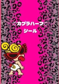 カプラハーフシール 2枚セット ヒスミニ