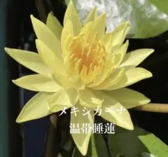 さっちゃん様 リクエスト 2点 まとめ商品