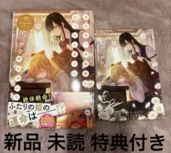ある日、お姫様になってしまった件について 13巻 アニメイト特典