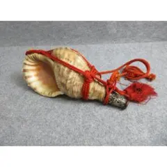 2026年最新】法螺貝 和楽器の人気アイテム - メルカリ