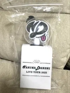 なにわ男子LIVETOUR2025 BONBONVOYAGE ペンライト