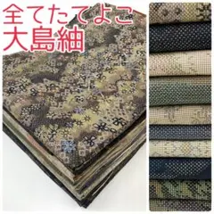 【TAMA屋】全て正絹全て本場大島紬 全てたてよこ まとめ売り10点TM2575