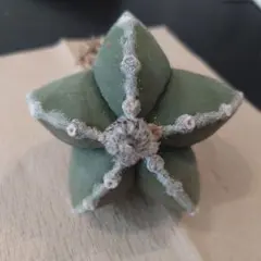 M19様 リクエスト 3点 まとめ商品