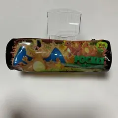 M*様 ポケモン　ペンケース