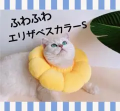 Item thumbnail for item b68be200-f98f-4135-b562-13953be97840