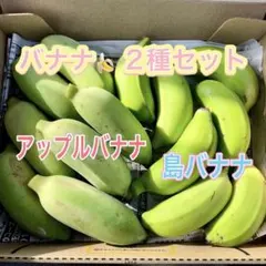 沖縄県産 バナナ2種 食べ比べセット 箱なし1kg強（アップルバナナ＆島バナナ）のサムネイル