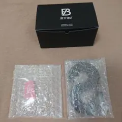 Item thumbnail for item 6db42b9e-92f2-4b95-95de-a68fc79995ea