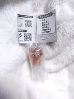 なめこ栽培キット☺︎ ︎めじるしアクセサリー2