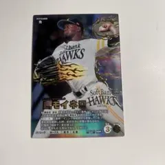 L．モイネロ ドリームオーダー 制覇せし鷹軍 福岡ソフトバンク