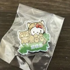 サンリオキャラクターズご当地ピンズコレクション 八重山限定 ハローキティ 西表島