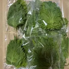 大葉 青紫蘇 薬味 野菜　　傷あり　穴あり　虫食いありのサムネイル