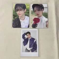 【即購入可】MAXIDENT トレカ セット フィリックス