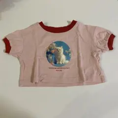 Item thumbnail for item eac64e42-5b81-41d7-9e81-763ca82c79b9