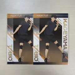 ハイキュー!!　アニメイト　ユース・疑似ユース合宿フェア　特典　影山飛雄