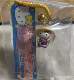 2025年最新】ハローキティ夏休み山の人気アイテム - メルカリ