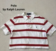 Polo by Ralph Lauren半袖クロップド丈 ポロシャツ赤白Lサイズ