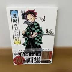 初版 『鬼滅の刃』吾峠呼世晴画集―幾星霜― - メルカリ