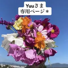yuuさま専用ページ＊