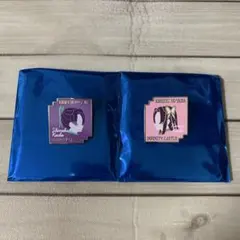 鬼滅の刃 胡蝶しのぶ 胡蝶カナエ 無限城 キャラクターモチーフピンズ ピンバッジ