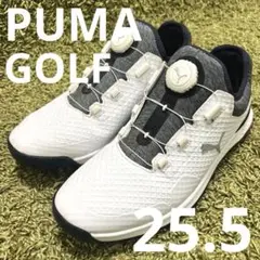 良好　PUMA ゴルフシューズ　プロアダプト アルファキャット　25.5