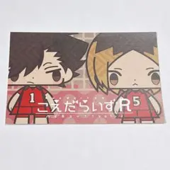 ハイキュー 音駒 黒尾鉄朗 孤爪研磨 こえだらいず ポストカード