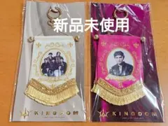週末限定セール【新品】岩田剛典 JSB3 KINGDOM ミニタペストリー 2点