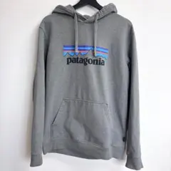 Patagonia パタゴニア パーカー グレー メンズ　Mサイズ　定番