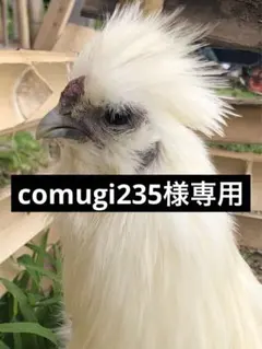 comugi235様専用です