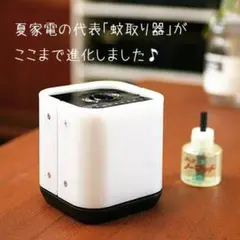 エル様 リクエスト 2点 まとめ商品