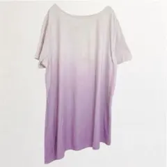 ELIZABETH&CLARKE【L】Ｔシャツ 丸首 半袖 グラデーション ポリのサムネイル