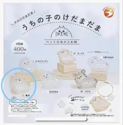 うちの子のけだまだま　柴犬　ガチャ