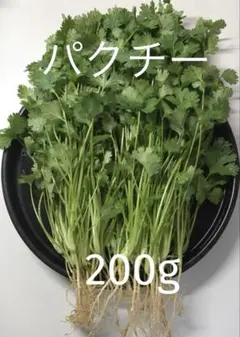 パクチー 香菜 コリアンダー 200gのサムネイル