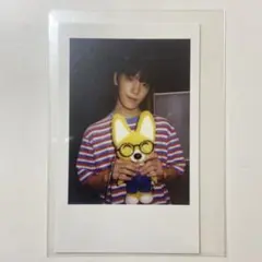 ディノ　トレカ　チェキトレカ　シャダコン　2016 seventeen