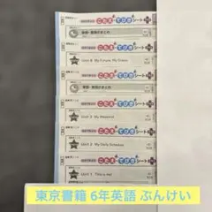 6年⭐︎カラーテスト 答え 小6 理科 大日本図書 ぶんけい - メルカリ