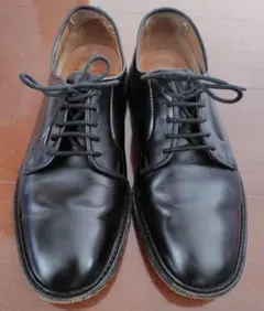 Item thumbnail for item 036c7fd1-d3fd-4091-9a20-5b8d8cf2cf9b