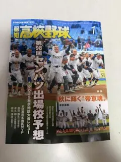 Item thumbnail for item 95010ee9-ec5a-42df-ba72-a54d1c36f77e