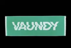 2026年最新】vaundyタオルの人気アイテム - メルカリ