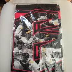 Item thumbnail for item 209055c6-8189-4871-b3bd-fa36dc0f7dd2