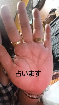 みーちゃん様専用