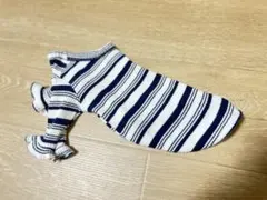 Item thumbnail for item 14191be1-4354-4bed-af2e-03d20a8f137c