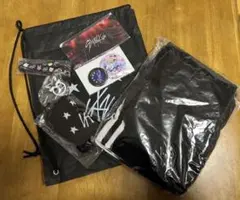 Stray Kids アプグレ特典　スキズ 5STARドームツアー