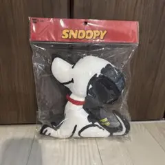 Item thumbnail for item a823130e-624d-47a0-a380-7eb20cb6af04