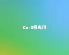 Co-3様専用ページ