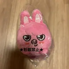 チャンビン　STRAYKIDS SKZOO ミニバックチャーム