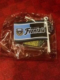 Item thumbnail for item a2db969b-1e2c-4d8d-83ec-6bc26d4e22cf