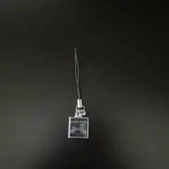 Item thumbnail for item 4f9e0204-12b6-479d-b32e-fb085141836f